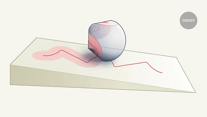 A happy trajectoid in its natural habitat rolling down a slope. Image by Nature